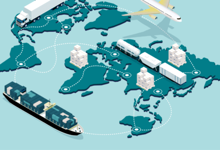 Import regulatory guide - GFI India
